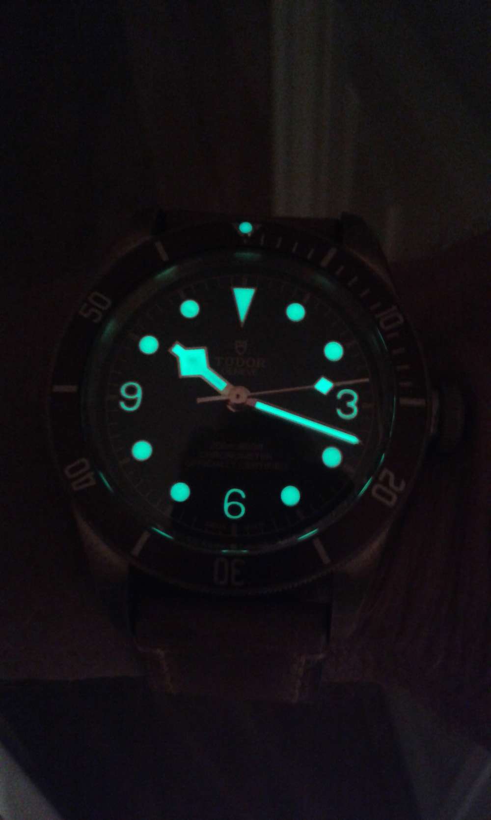 Review Tudor Black Bay Bronze bought with Susan Chuang – Hot Spot on ...
